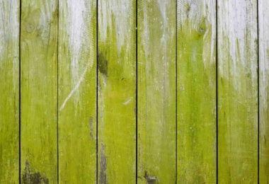 Terrasse verte